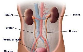 infectia-urinara-joasa-necomplicata-la-femei