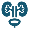 Urologie